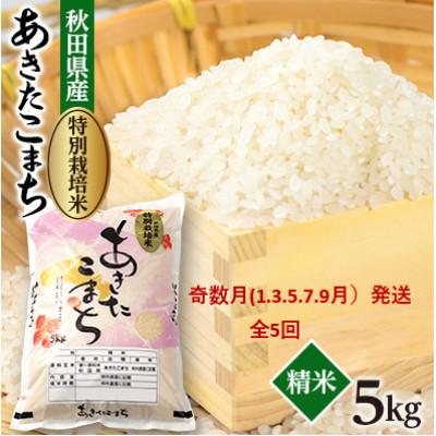 ふるさと納税 大潟村 【発送月固定定期便】奇数月発送　特別栽培米あきたこまち5kg全5回