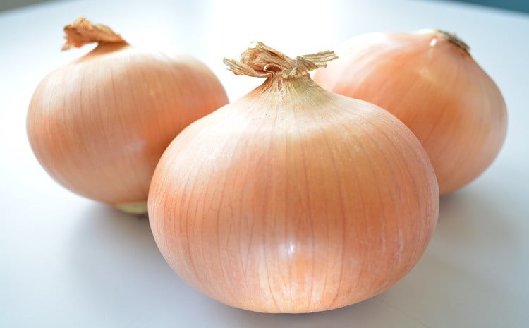 「日本のたまねぎ栽培の発祥の地」とも言われる「泉州玉ねぎ」をふんだんに使用