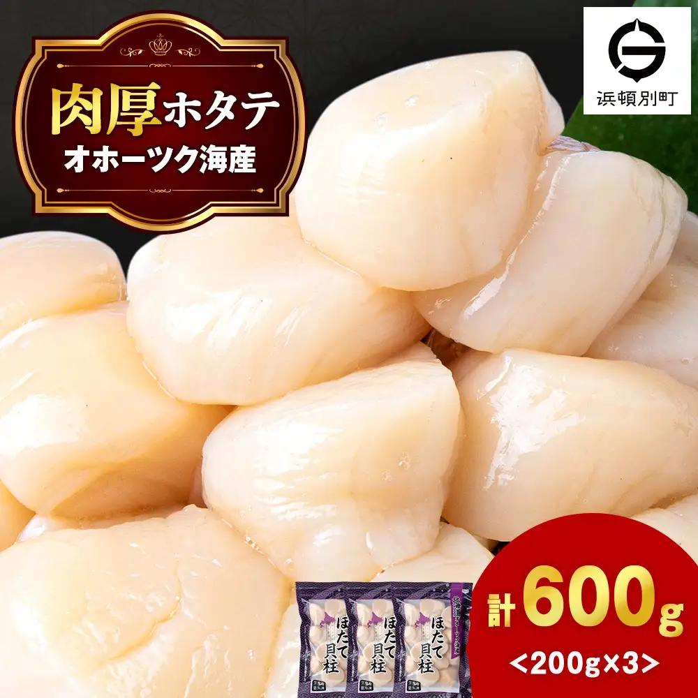 【1月下旬発送】 ほたて 貝柱 冷凍(15粒前後)200ｇ×3パック 小分け お取り寄せ 刺身 《横田水産》 北海道ホタテ ホタテ玉冷 刺身用 帆立 冷凍 刺身 オホーツク 海鮮 食品 北海道ふるさと納税