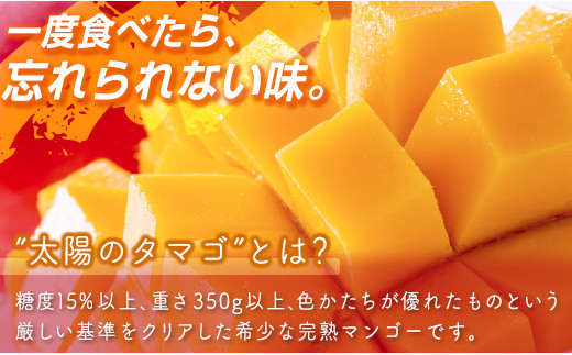 【先行予約】最高級ブランド『太陽のタマゴ』2L×2個【糖度15度以上】宮崎県西都市産完熟マンゴー ＜2-76＞2026年発送