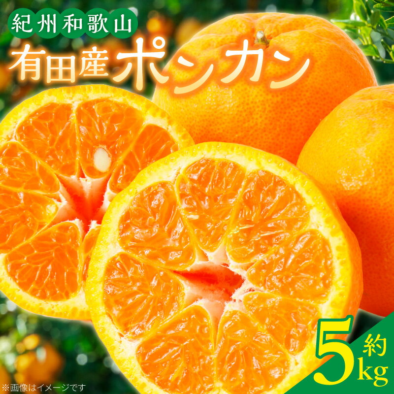 【ふるさと納税】【2027年先行予約】【限定】 紀州和歌山有田産 ポンカン 約5kg【ミカン 蜜柑 春みかん 柑橘 和歌山 有田 ぽんかん】