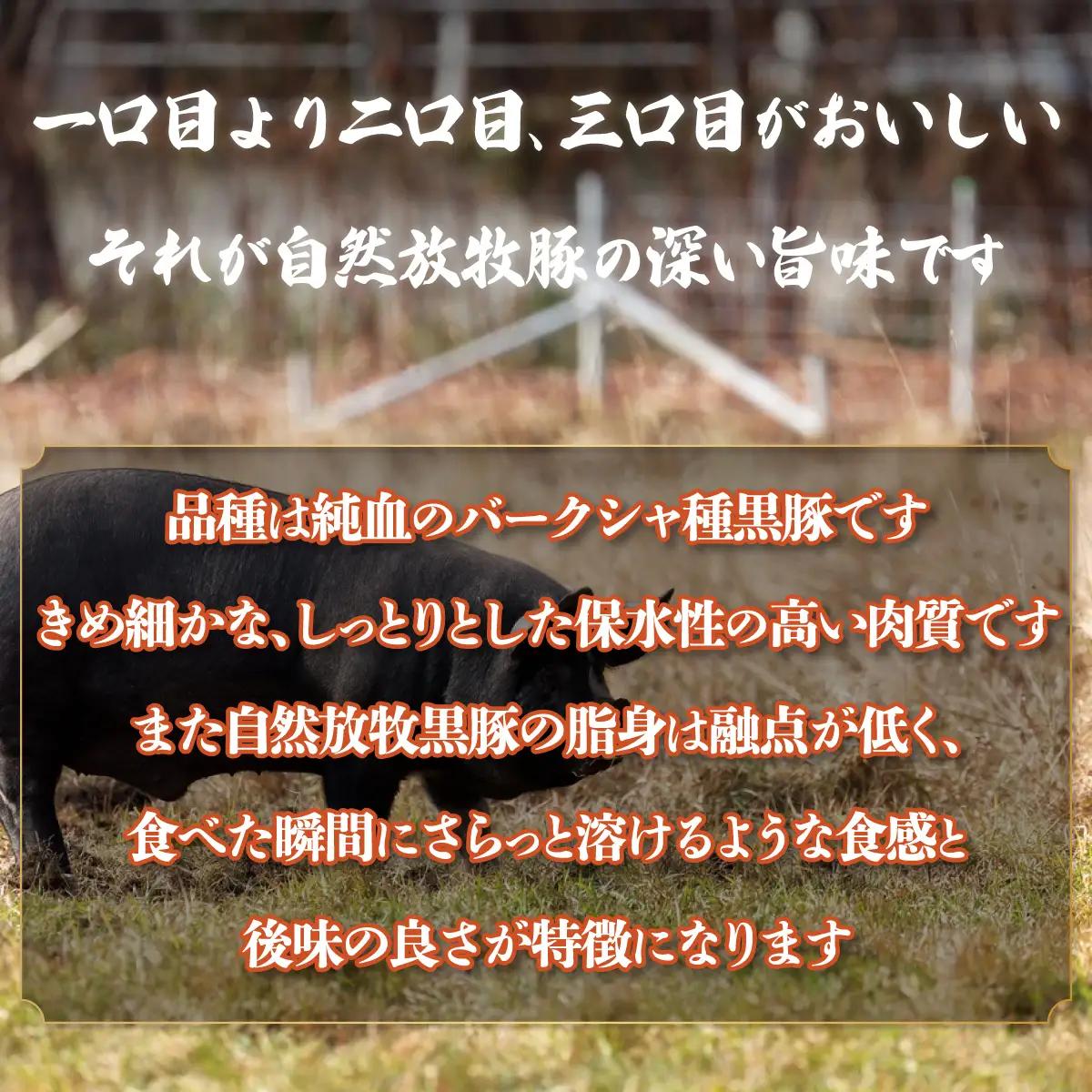 【定期2ヶ月】鹿追産 自然放牧圧巻の黒豚 無添加ベーコン＆無添加ソーセージ SKN068