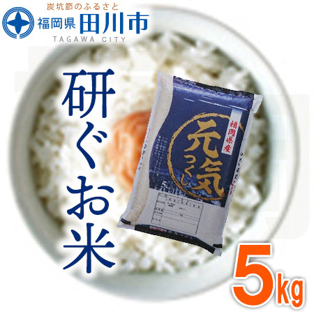 
                  福岡県産元気つくし 5kg お取り寄せグルメ　お取り寄せ 福岡 お土産 九州 ご当地グルメ 福岡土産 取り寄せ  福岡県 食品
                