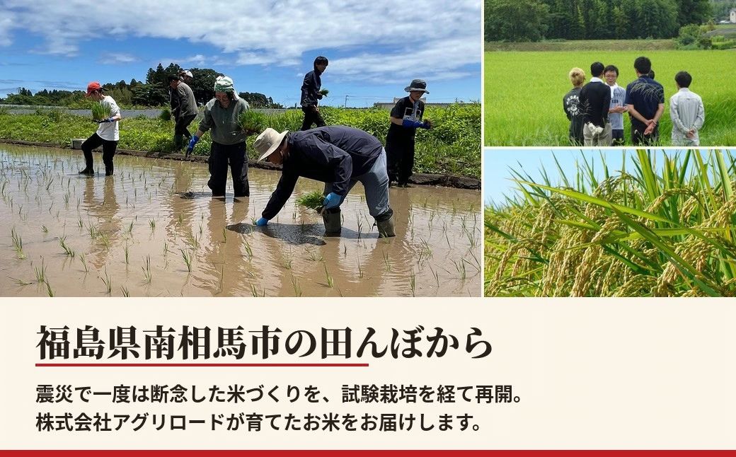 【白米】 令和8年産 アグリロード つきあかり 5kg (5kg × 1) 5キロ 精米 白米 コメ ごはん ブランド米 南相馬 福島 福島県産 お取り寄せ 炊き立て 送料無料 ふるさと納税 オンライ