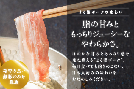 【 5ヶ月定期便 】 まる姫ポーク 豚肉 まるごと味わいセット 2.4kg （ロース生姜焼き用 肩ローステキカツ用 バラスライス 粗ミンチ）  5回配送 【計12kg】 AK-32
