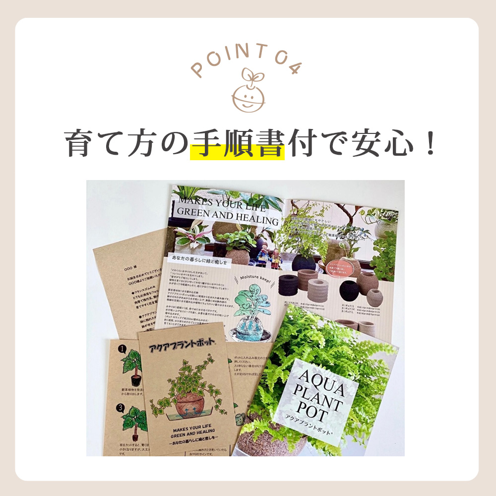 アクアプラントポット®　円Ｍ 植木鉢　フランスゴムの木（2101）