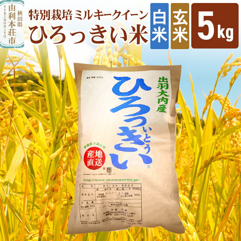 【ふるさと納税】【白米／玄米】 秋田県産 ミルキークイーン 5kg 令和6年産 ひろっきい米