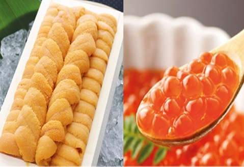 ＜12月10日決済分まで年内配送＞エゾバフンウニ140g×1折、いくら醤油漬150g×1P[11月下旬以降発送] D-53027