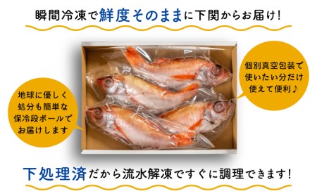 のどぐろ 中 サイズ 4尾 高級 魚 鮮魚 冷凍 アカムツ 下処理 済 下関  EY002_1