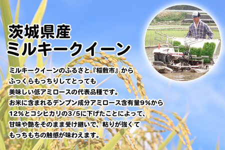新米【定期便／3ヶ月 令和7年産】ミルキークイーン 白米 計30kg (5kg×2袋×3ヶ月) 茨城県産 ふっくらもっちり｜お米 おこめ 精米 直送 稲敷 茨城 [1775]