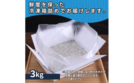 上物釜揚げシラス1kg×3個 合計3kg しらす シラス 釜揚げ 新鮮 塩分控えめ 赤ちゃん 子供 離乳食 しらす丼 海鮮丼 お茶漬け ごはん 冷凍配送 大量 しらすピザ 海鮮 