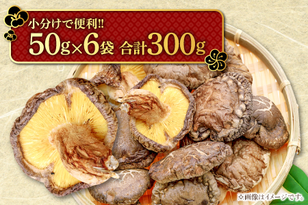 A-91 くぬぎ原木　乾しいたけ
