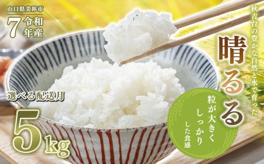 令和7年度産 新米 晴るる 白米 5kg 先行予約 ＜ 2025年11月～より順次発送予定 ＞ ｜ 精米 新米 白米 米 お米 コメ 単一米 晴るる はるる  山口 美祢 秋吉台 5kg