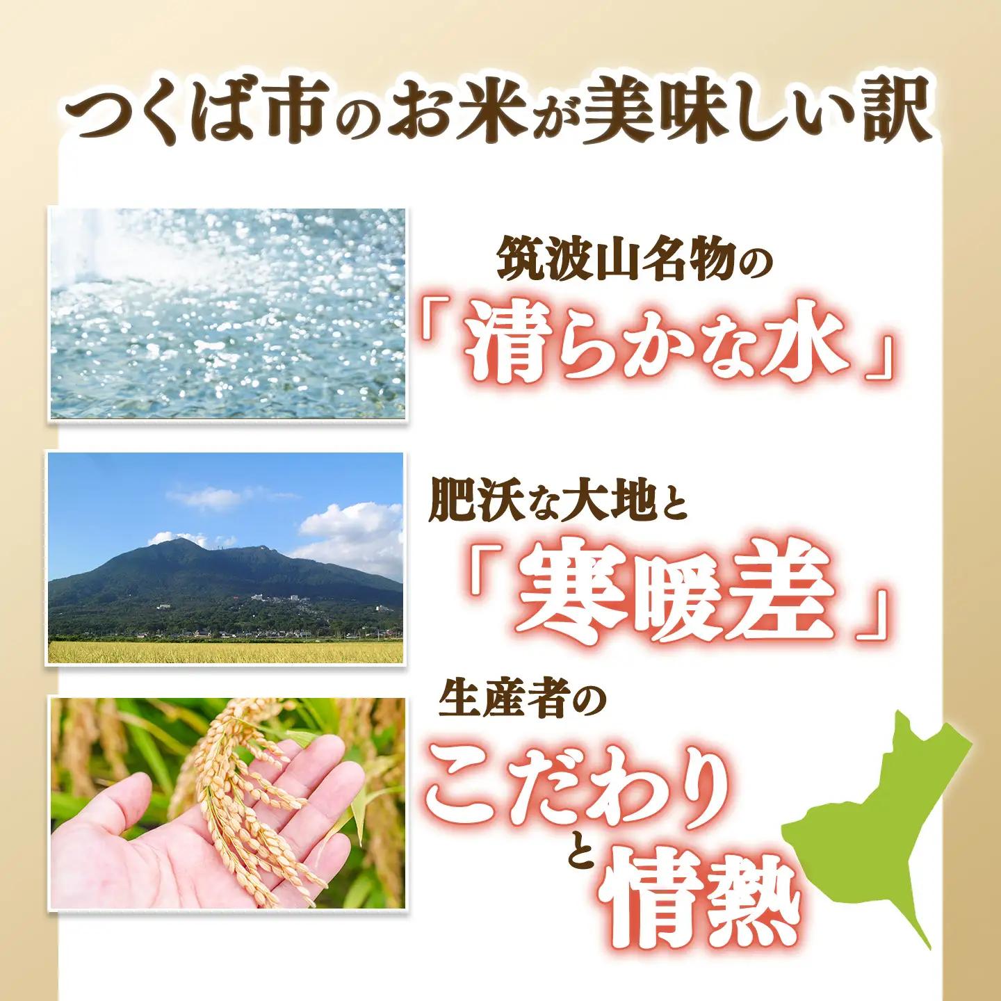 【定期便】令和7年産 市左衛門農場コシヒカリ玄米 5kg×3回 こしひかり