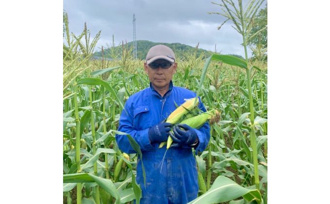【2025年8月～発送】北海道 富良野産 とうもろこし ≪ゴールドラッシュ≫ L～2Lサイズ 20本 沖縄 離島不可 (鷲見農園) とうもろこし とうきび コーン 野菜 新鮮 甘い ジューシー 贈り物