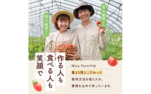 【定期便全12回】NicoFarm トマトジュース 1L×2本×12回_Y124-0036