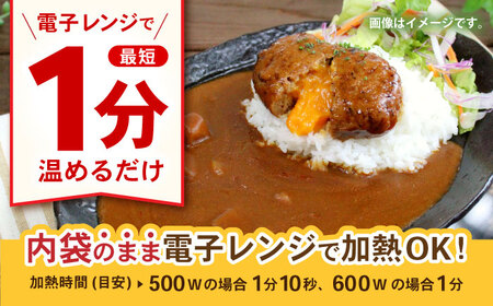【小分け】【内袋のままレンジ調理可】日本ハム レストラン仕様カレー甘口10パックセット(1パック4袋入り)計40食分/ カレー かれー レトルト 牛肉 小分け / 諫早市 / 日本ハムマーケティング株