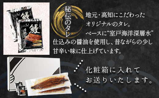 【２回定期便】高知県産養殖うなぎ蒲焼き 約200g×１尾 Wfb-0045