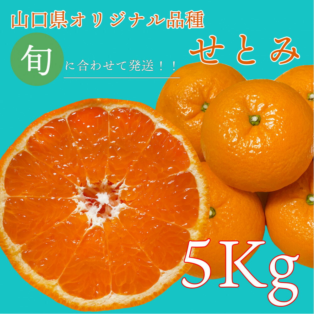 【ふるさと納税】【2026年2月下旬～3月頃より順次発送】山口県が誇るオリジナル柑橘《せとみ》5kg