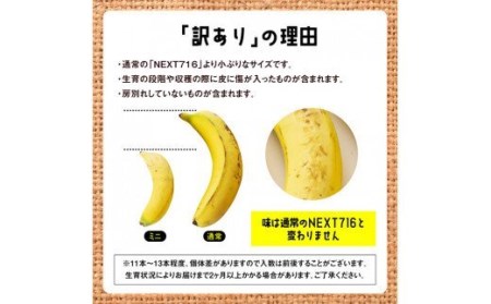 【訳あり】国産ミニバナナ1kg【国産 バナナ 無農薬 フルーツ 果物 デザート 朝食 スムージー 訳ありバナナ】