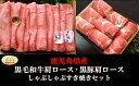 【ふるさと納税】No.3037-1　鹿児島県産 黒毛和牛 肩ロース しゃぶ・すき600g　黒豚肩ロースしゃぶすき500g