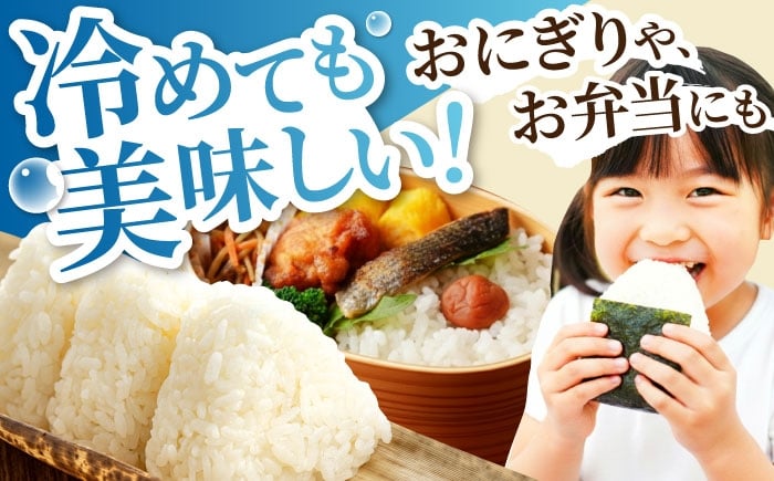 米 白米 精米  お米 米 kome 白米 ご飯 こめ ごはん ライス 5kg