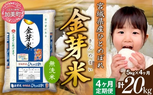 【定期便 4回】 金芽米 無洗米 令和7年産 宮城県産 ひとめぼれ 計20kg( 5kg ×4回) [カメイ 宮城県 加美町 km-my-knm05-t4-r7] 4ヶ月 米 お米 こめ コメ 精米 白米 きんめまい