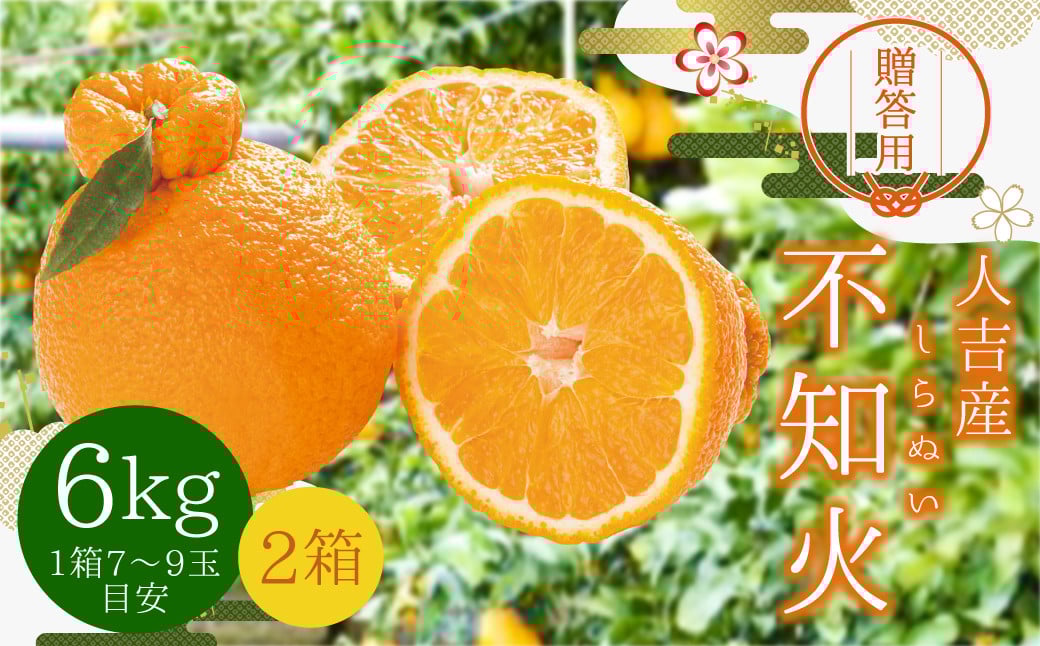 
            【贈答用】人吉産 不知火 （しらぬい） 6kg フルーツ 果物 くだもの 柑橘 デコポン でこぽん お取り寄せ【2025年12月下旬発送予定】
          
