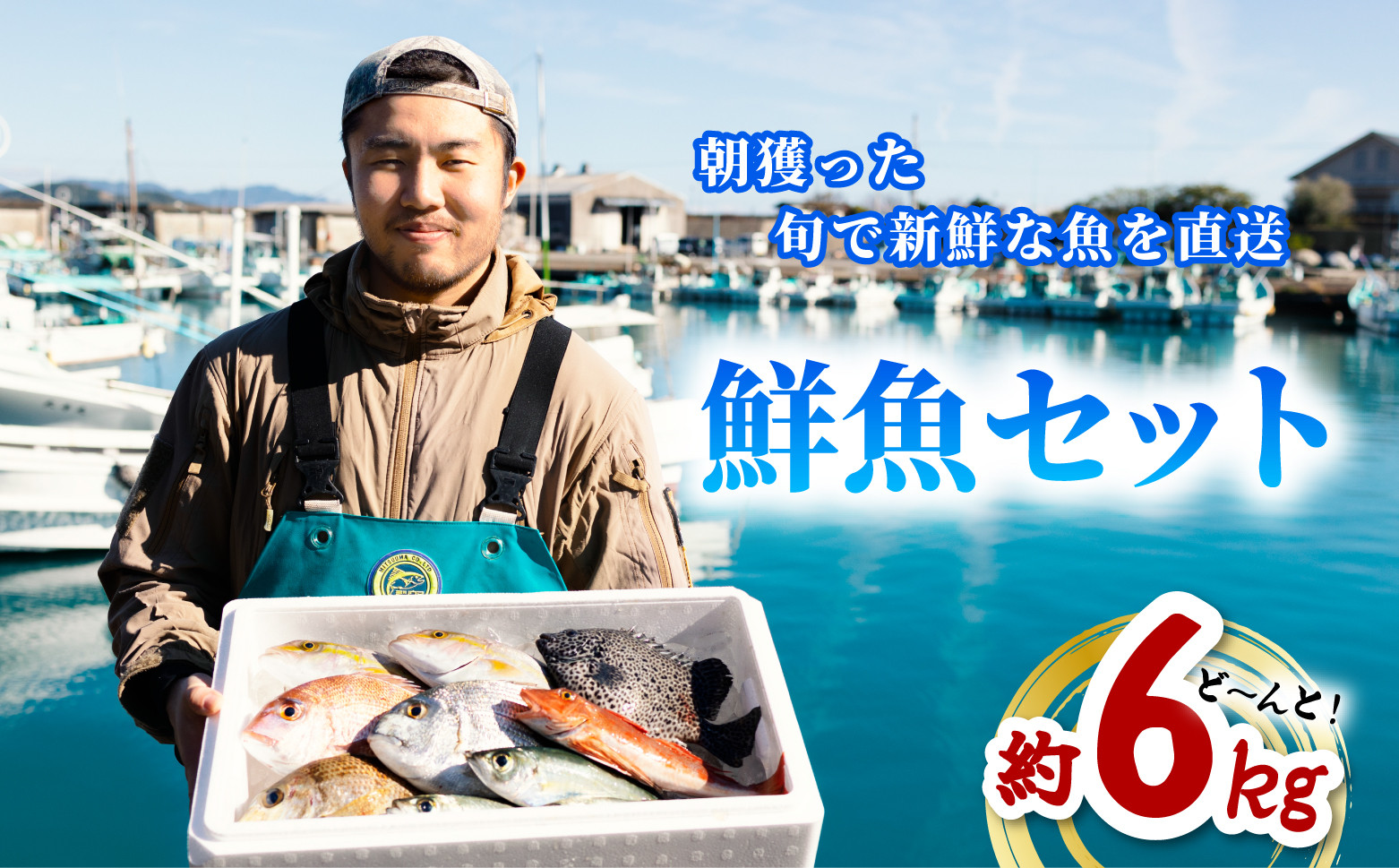 
産地直送！ 海陽町より旬の魚をお届け！ 鮮魚セット 大セット 約６kg 詰め合わせ
