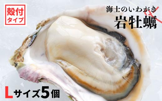 【のし付き】海士のいわがき 新鮮クリーミーな高級岩牡蠣 殻付きLサイズ×５個 お歳暮に
