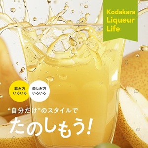 SA1599　酒田の酒屋厳選　子宝リキュール 山形ラフランス　1800ml×1本