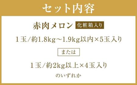 【ニセコ町産】赤肉メロン4～5玉入り　 2024年発送