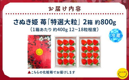 【先行予約】DAICONファーム さぬきひめJEWEL BOX（さぬきひめ苺（特選大粒）2箱 約800g） | いちご 苺 果物 果実 果汁 青果物 高級 大粒いちご 特選大粒 ご褒美 贈答 贈り物 