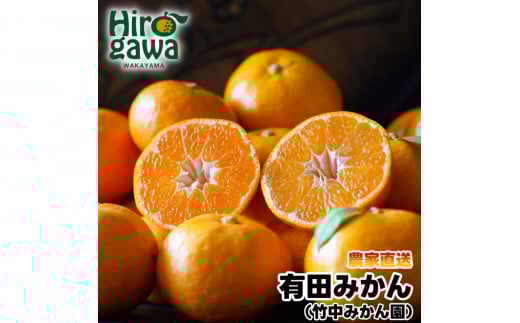 ▼早生みかん10kg (大玉）2L～ ※11月～1月順次発送予定 【tkn004-wr-l-10-12】