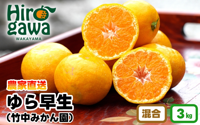 ▼由良早生みかん 3kg（2S～Lサイズ） ※2025年11月上旬～順次発送予定 【tkn004-r-3A】