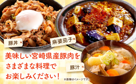 宮崎県産豚お楽しみセット合計2kg 豚肉 豚 ロース バラ モモ とんかつ 切り落とし ミンチ セット 詰め合わせ 豚肉セット 精肉セット 普段使い 使い勝手 小分け パック 冷凍 真空パック お弁当
