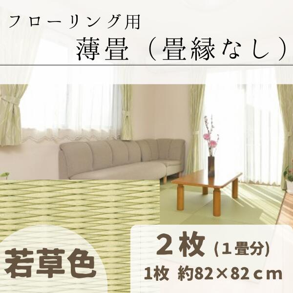 【ふるさと納税】 フローリング用 薄 たたみ 畳縁なし 2枚 若草色 たたみ育