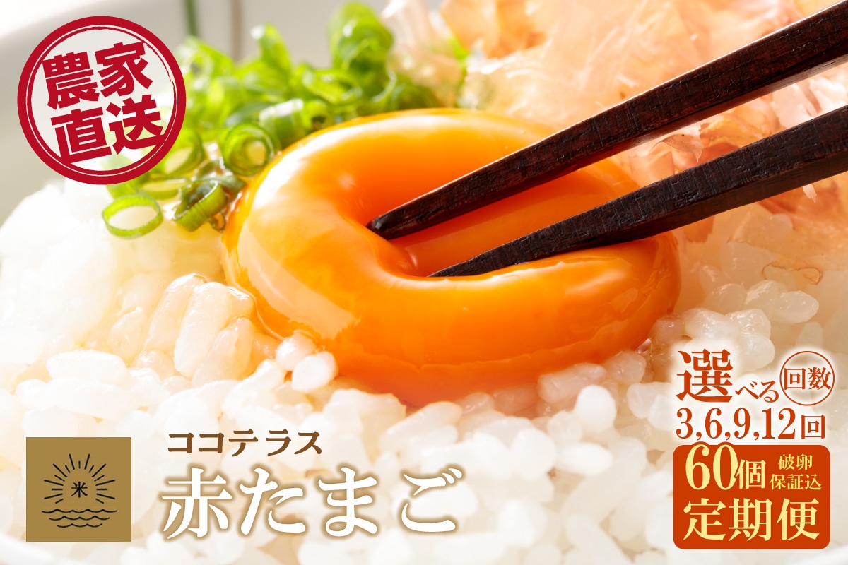 
            【3～12ヵ月定期便】ココテラスの明日（赤たまご）55個 + 5個保証（計60個）選べる定期便回数【JGAP認証】
          