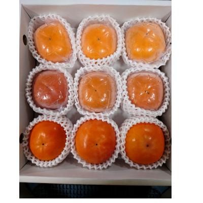 ふるさと納税 橋本市 柿の食べ比べセット　9個入り(2L〜3L) |  | 01