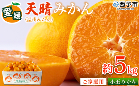 ＜愛媛県明浜産 笑丸みかん（温州みかん）約5kg 小玉サイズ＞ 家庭用 訳あり ワケアリ 果物 くだもの フルーツ ミカン 柑橘 特産品 笑丸 愛媛県 西予市【常温】『2026年11月中旬～2027年1月上旬迄に順次出荷予定』AAN0064