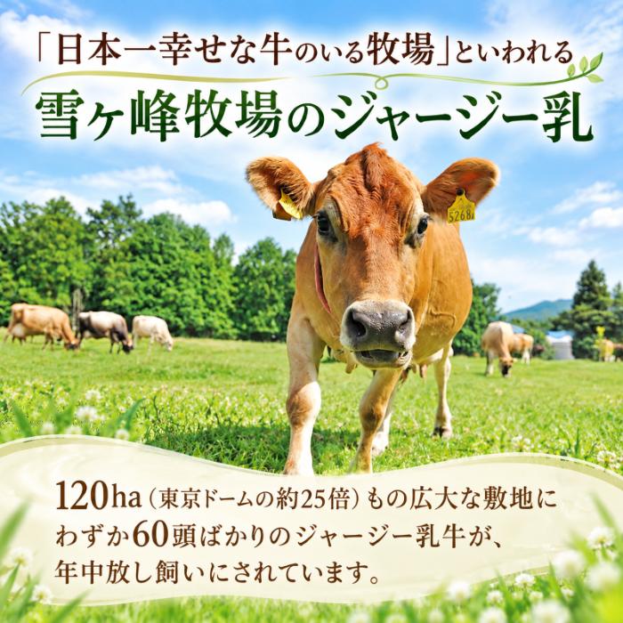 アイスブリュレ４種セット (ジャージー乳、小夏、木いちご、濃厚キャラメル 各種1個) クリーム ブリュレ キャラメル プリン クリームブリュレ おやつ お菓子 スイーツ スウィーツ 贈答 贈り物 ギフ