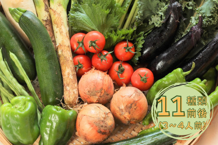 信州北八ヶ岳からお届け～ちいさな畑セット～（Lサイズ　３～４人前）有機野菜〔NK-02〕