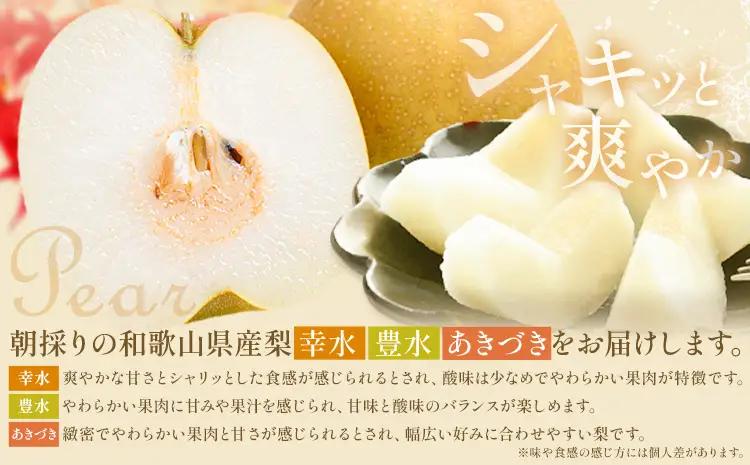 旬の フルーツ セット 3ヶ月定期便 6月・7月・8月配送 すいか 1玉 桃 約1.8kg 梨 約2kg 