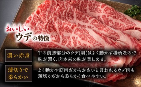 長崎和牛 鉄板焼 1kg 冷凍 / 肉 長崎 焼肉 お手頃 牛肉 すき焼き 長崎和牛セット 鉄板焼き肉 国産牛焼肉 国産肉 和牛 国産和牛 焼肉 牛肉 高級肉食べ比べ 人気和牛食べ比べ 和牛セット 【