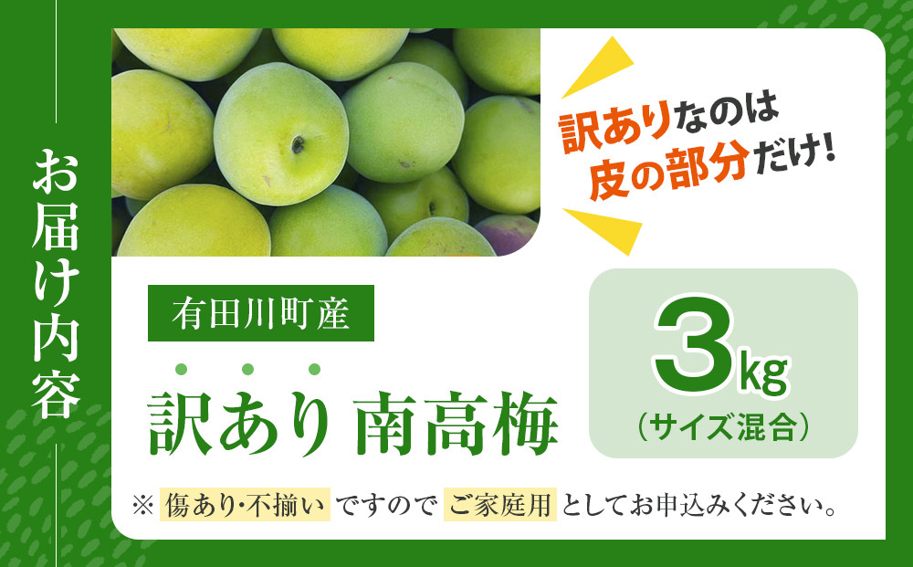 青梅 約3kg 訳あり 紀州南高梅 シロップ・梅酒・梅干し用など 和歌山県有田産 2026年5月下旬～7月上旬発送予定