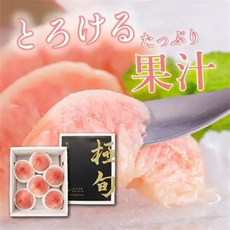 先行受付!　桃の王様【白鳳】　特秀品　約2kg　6～9個入【配送不可地域：離島】【1525326】