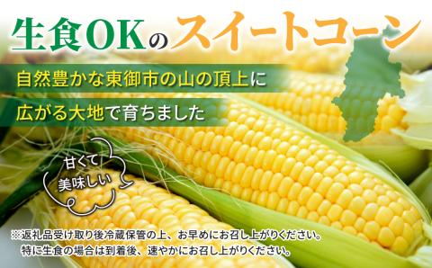 生とうもろこし 2L 6本 有機肥料使用のスイートコーン！ 長野県東御市産 ※7月中旬から順次発送予定※発送曜日指定不可