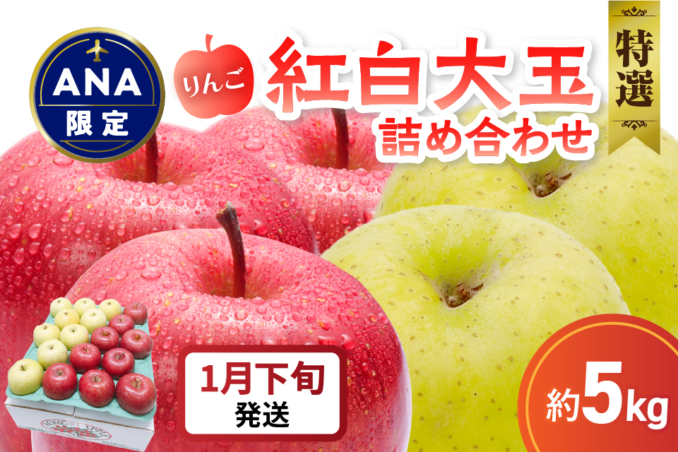 【ANA限定】【2026年1月下旬発送】 りんご 5kg 紅白の 大玉特選 詰め合わせ 青森