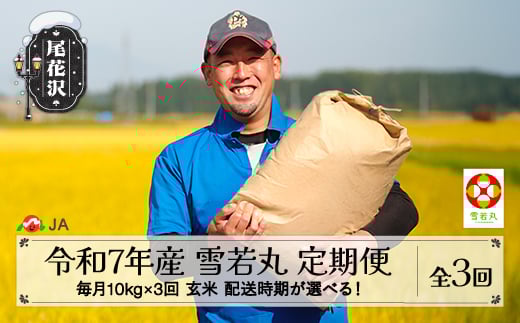 新米 米 毎月定期便 10kg×3回  雪若丸 玄米 令和7年産 2025年産 山形県尾花沢市産 送料無料 1月上旬発送開始 ja-ywgxa10_tm-1f
