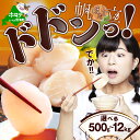 【ふるさと納税】【緊急支援品】【禁輸に負けない！】高評価★4.92 北海道 野付産 冷凍ホタテ 貝柱 ジャンボホタテ500g または 1kg（ ほたて 帆立 ほたて貝柱 訳あり 特大 生食 中国禁輸 春 旬 北海道別海町）